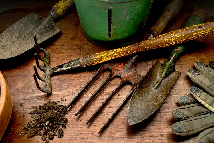 how to clean garden tools to prevent disease