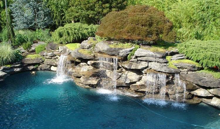 how to decorate garden with rocks combine stones with plants