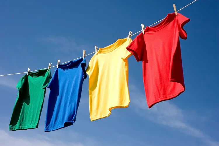 how to get mold and mildew out of colored clothes leave them on full sun
