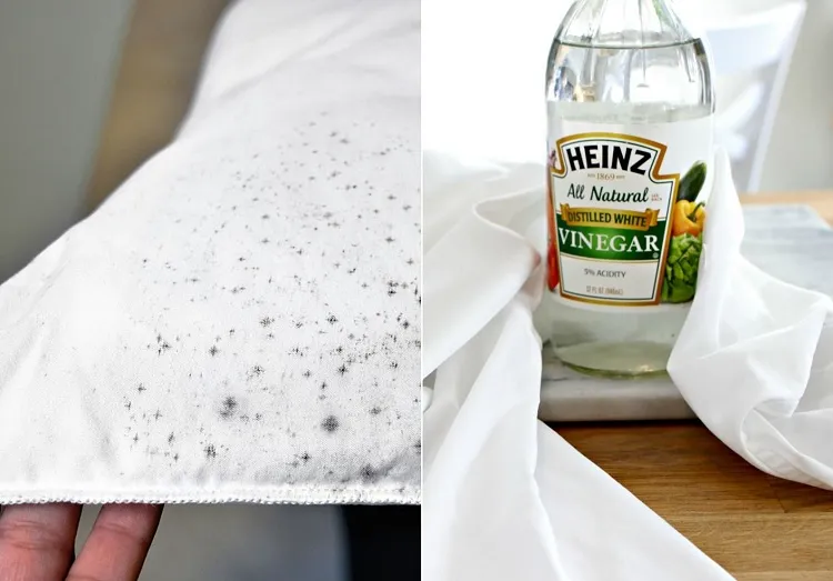 how to get mold out of clothes with vinegar mist the garments with vinegar water solution