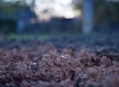 how to improve drainage in clay soil