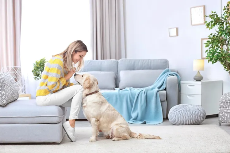 how to keep a house smelling fresh with pets