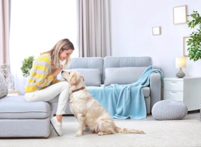 how to keep home smelling fresh with pets