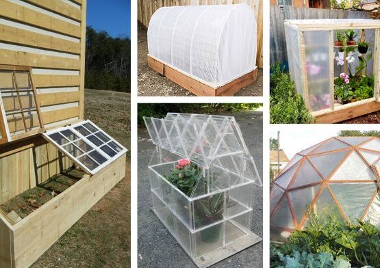 how to make a greenhouse on a budget
