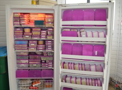 how to organize tupperware keep your fridge in order