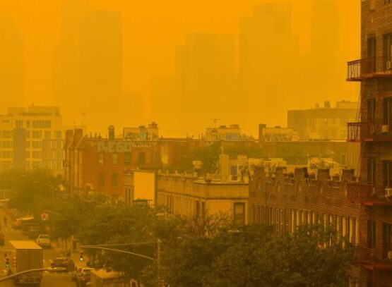 how to protect your home from wildfire smoke