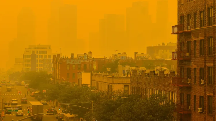 how to protect your home from wildfire smoke