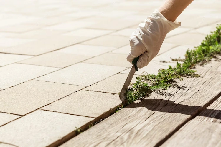 how to remove weeds from the patio deck