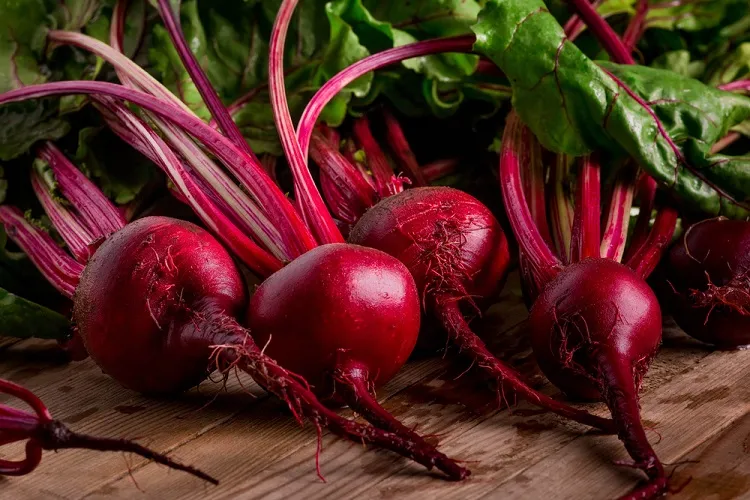how to sow and plant beetroot in the garden in june summer 2023