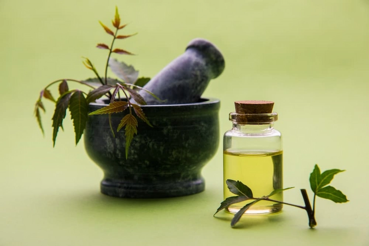 neem oil is one of the most effective natural remedies against ticks