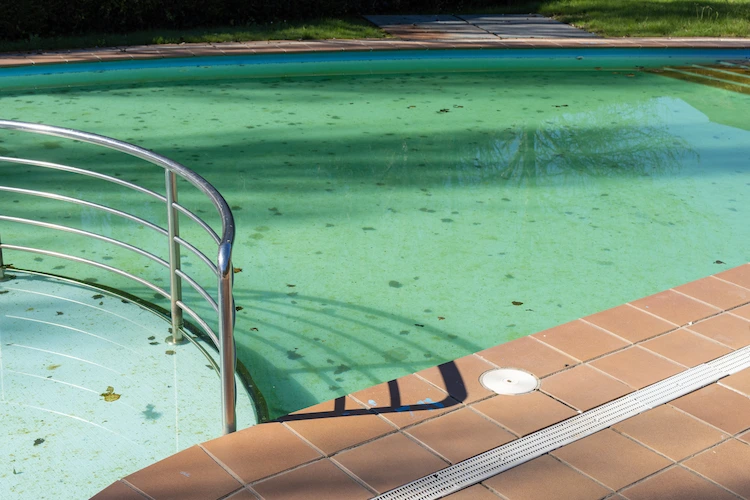 poor maintenance and care of the pool area results in dirty pool water and pool bottom