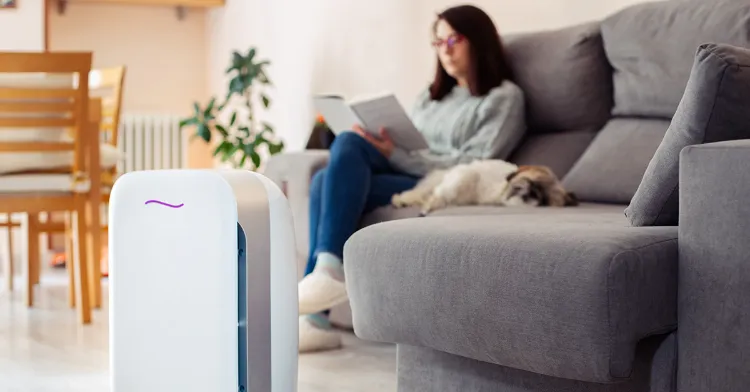 purchase air purifier to rid of foul odors coming from pets