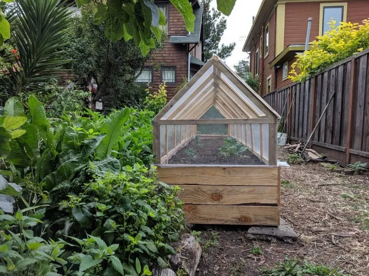 raised garden beds