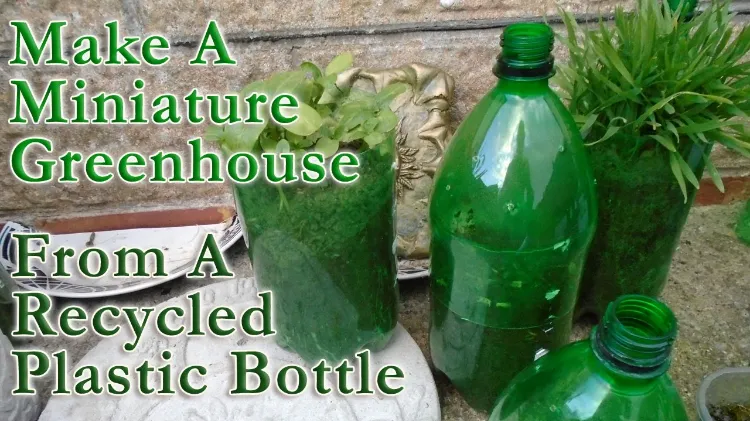 recycled plastic bottles