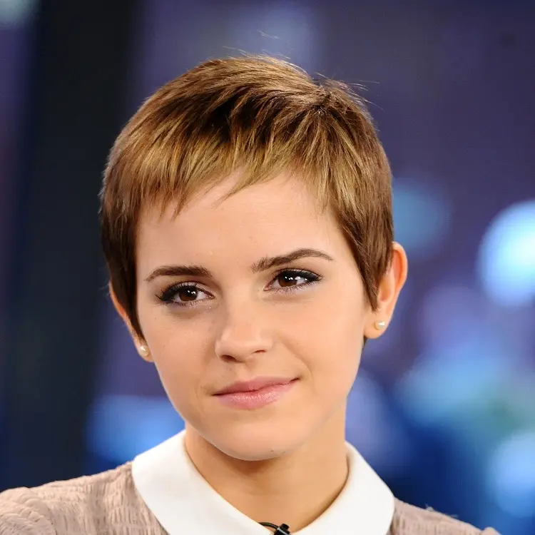 short haircuts for women with round face pixie hairstyle 2023