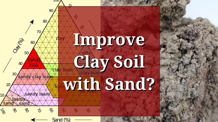 should i use sand to improve clay soil