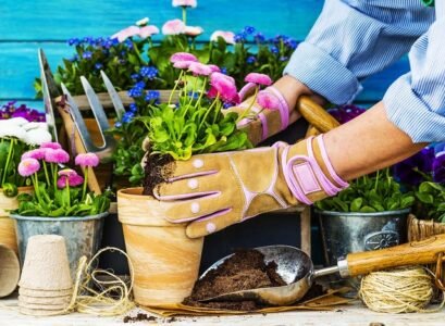 the best pot for your plants terracotta pot which evaporates exessive water