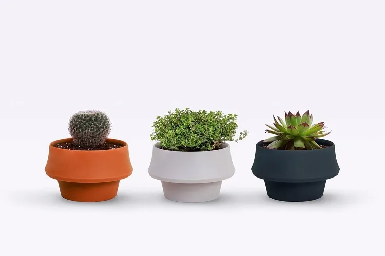 what is the best pot for indoor plants black pots gather too much heat