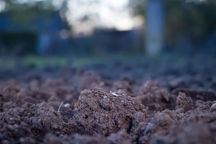 what to add to clay soil to improve drainage