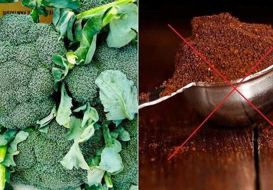 what vegetable plants do not like coffee grounds broccoli cabbage