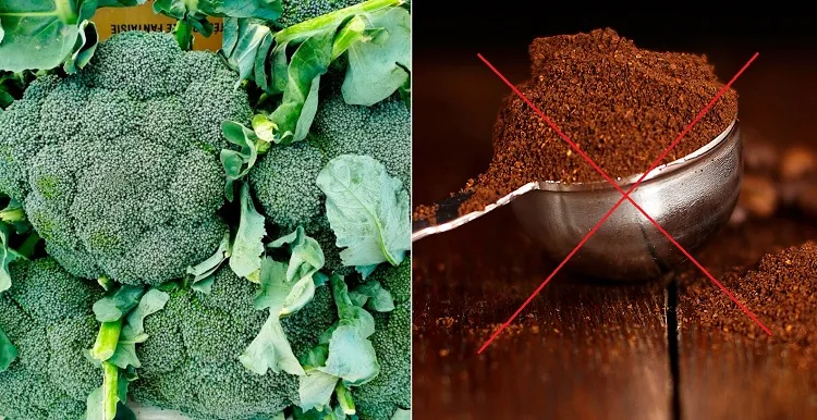 what vegetable plants do not like coffee grounds broccoli cabbage