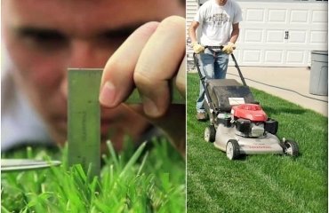 when to mow new grass after overseeding wait for your plants to elongate their roots