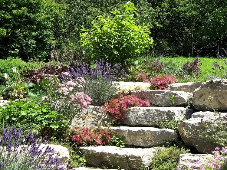 why you should decorate your garden with rocks benefits