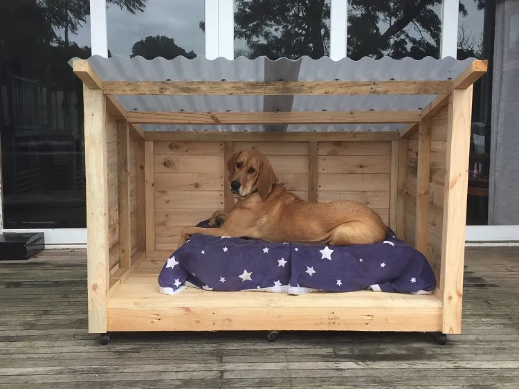 diy dog areas in back garden comfortable bed