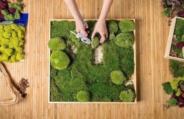 diy moss wall art for interiors instructions care tips