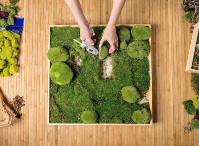 diy moss wall art for interiors instructions care tips