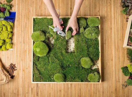 diy moss wall art for interiors instructions care tips