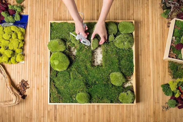 diy moss wall art for interiors instructions care tips