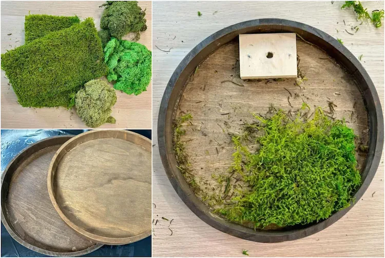 diy moss wall decoration with a wooden tray