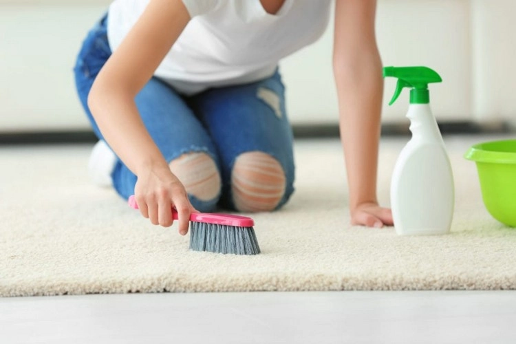 homemade carpet cleaner with washing powder