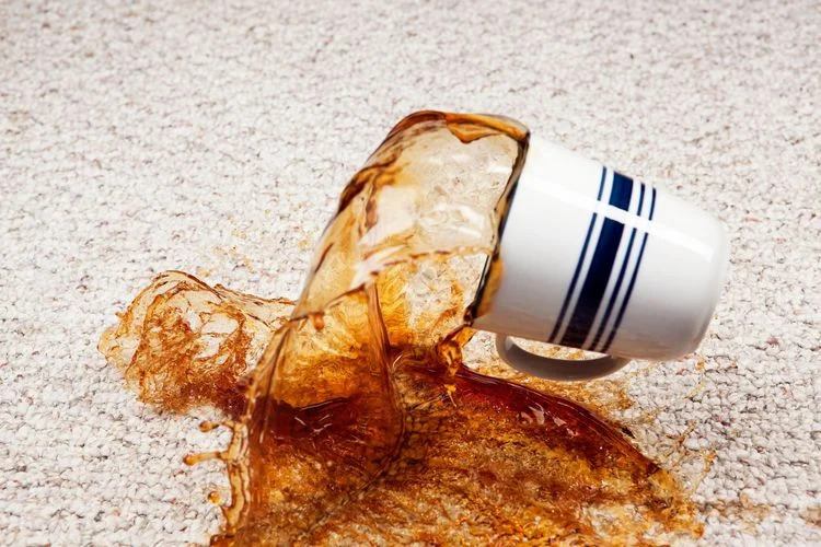 how to remove coffee stains from clothes carpets sofas