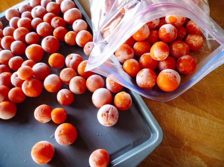 how to store cherry tomatoes in the freezer
