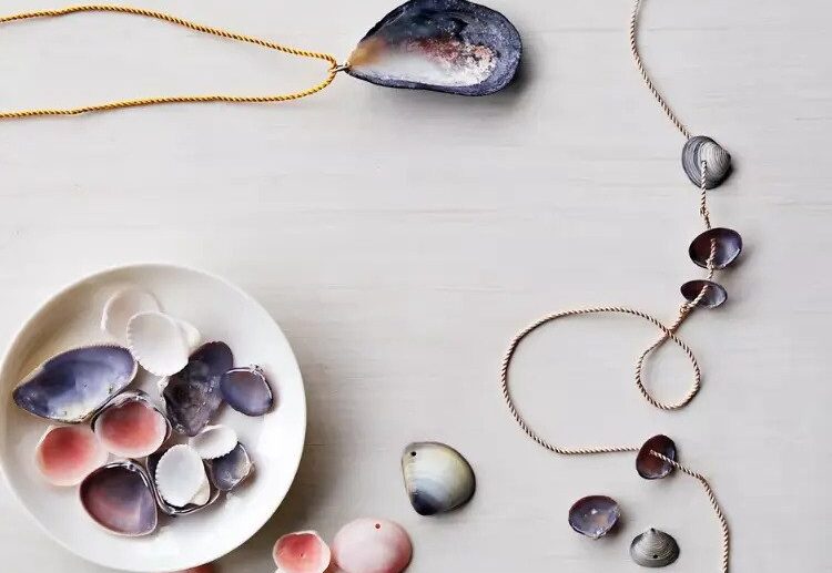 top 12 seashell craft ideas for adults summer 2023