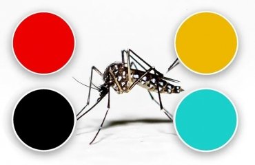 what colors attract mosquitoes the most and which ones repel them