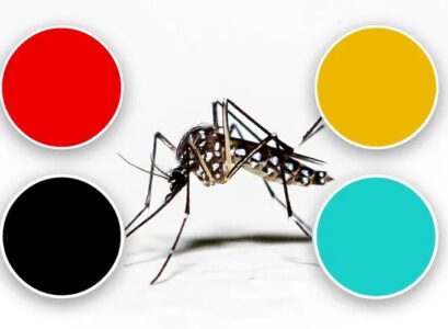 what colors attract mosquitoes the most and which ones repel them