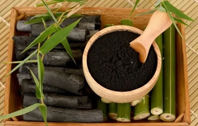 activated charcoal useful for health care and odor removal