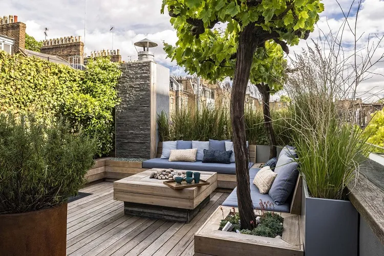 best low maintenance outdoor plants for balcony minimalist zen garden
