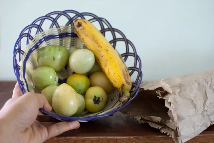 best way to ripen green tomatoes inside place a ripe banana near them and put in paper bag