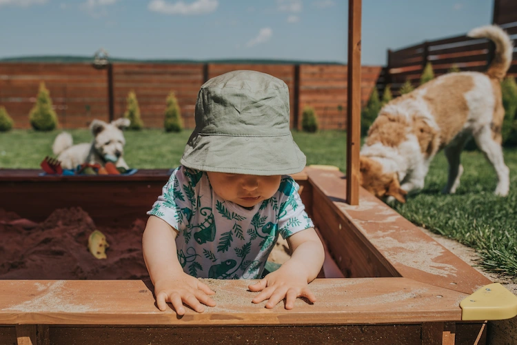 build a sandpit for children and keep pets away