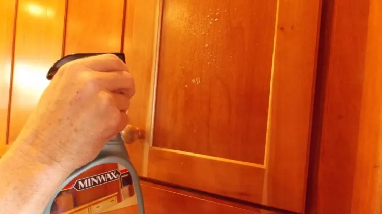 can moldy cabinets be saved paint the wood with protective layer