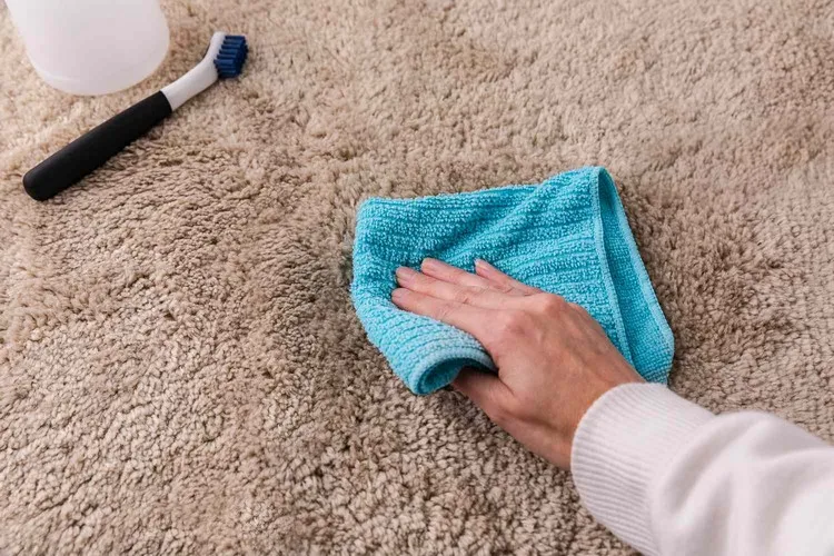carpet cleaning with household remedies