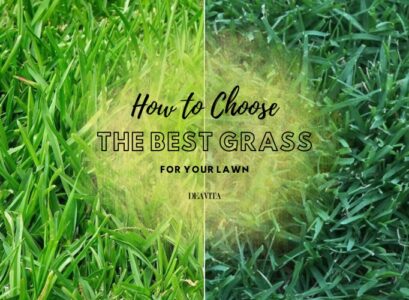 choose the best grass for your lawn region based cool warm season transition zone