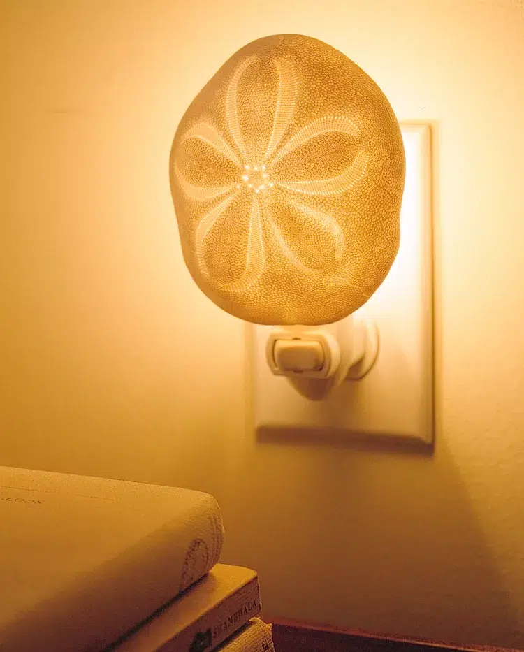 creative seashell craft ideas bedside lamp