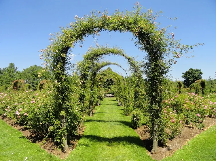 diy garden arbor trellis wooden from brances