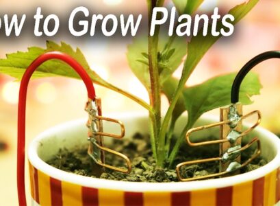 electroculture gardening enhances plant's yield