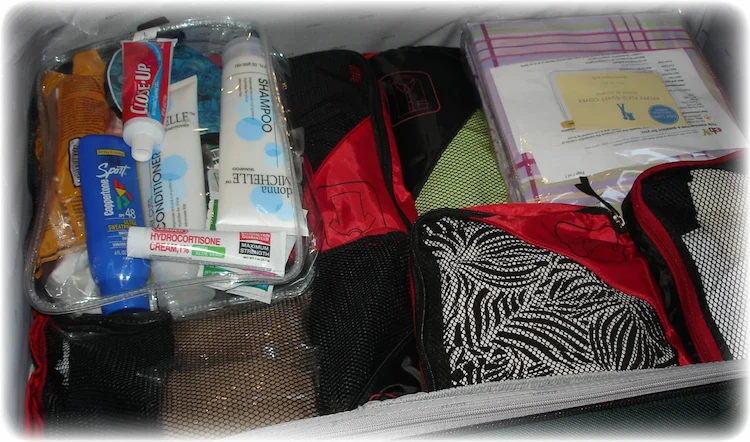 experts recommend having a separate toiletry set for travelling